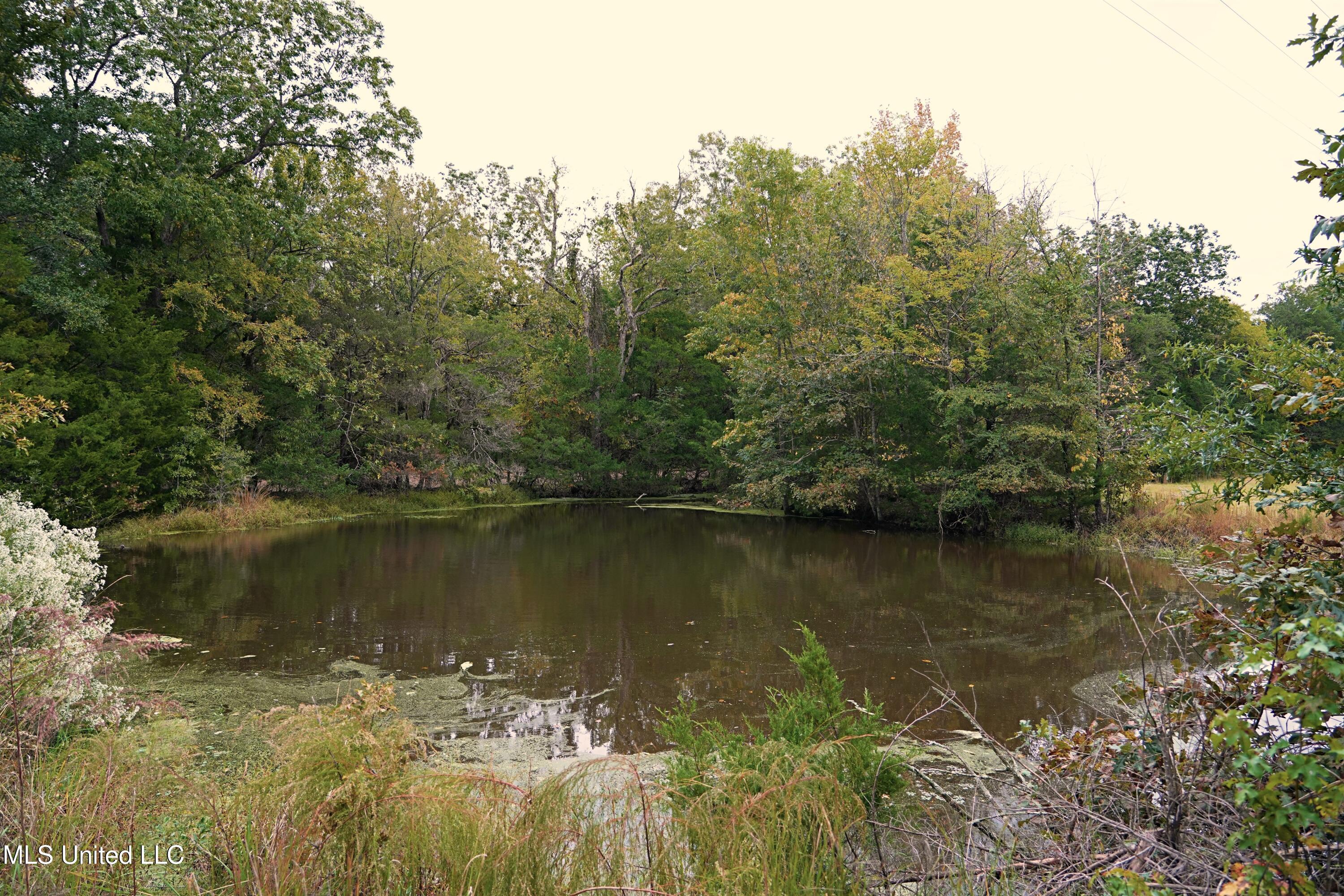 0 Phoenix Road Bentonia, MS 39040 - Photo 16 of 33 16.