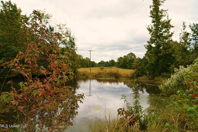 $195,000 | 0 Phoenix Road, Bentonia, MS 39040