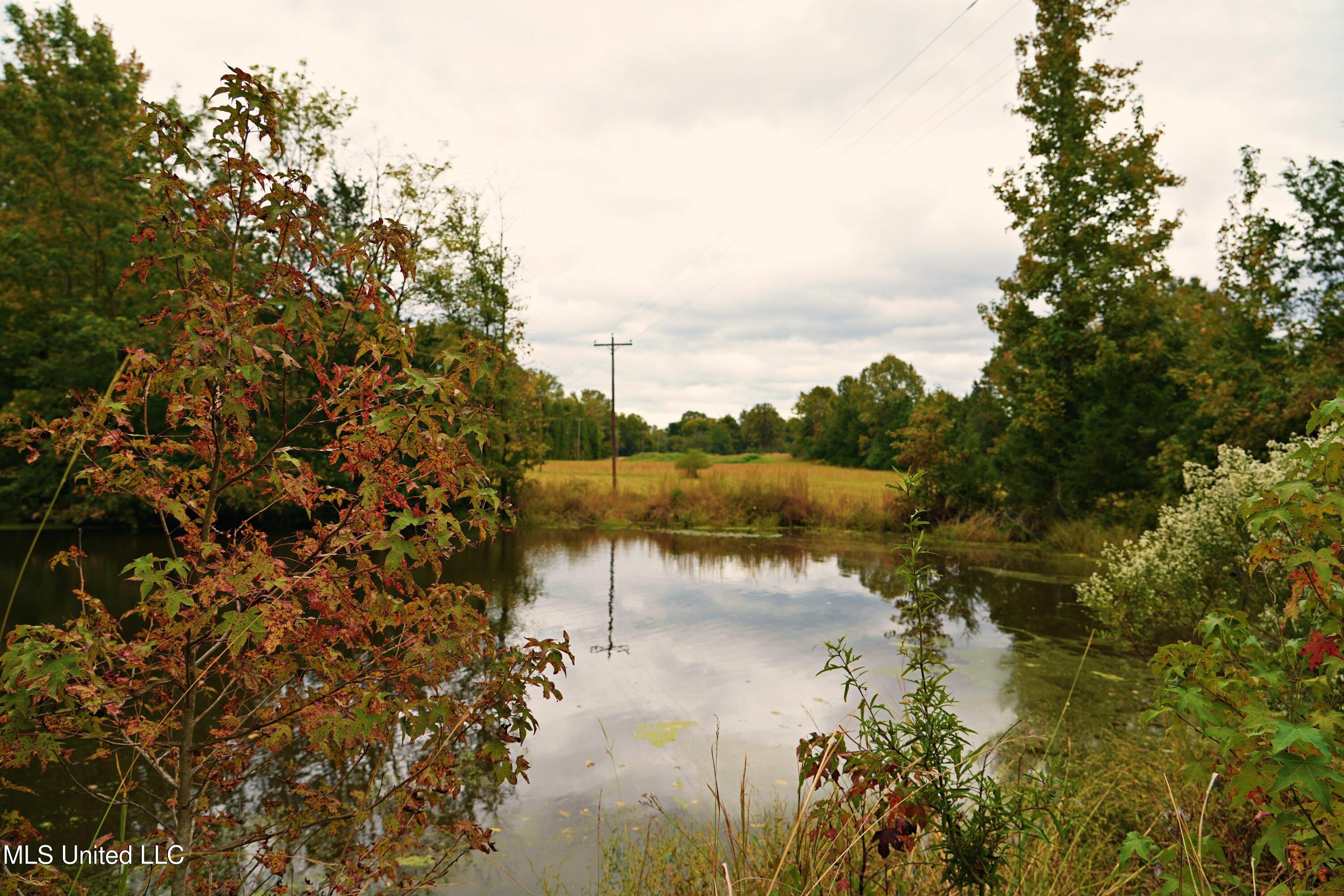 0 Phoenix Road Bentonia, MS 39040 - Photo 17 of 33 17.