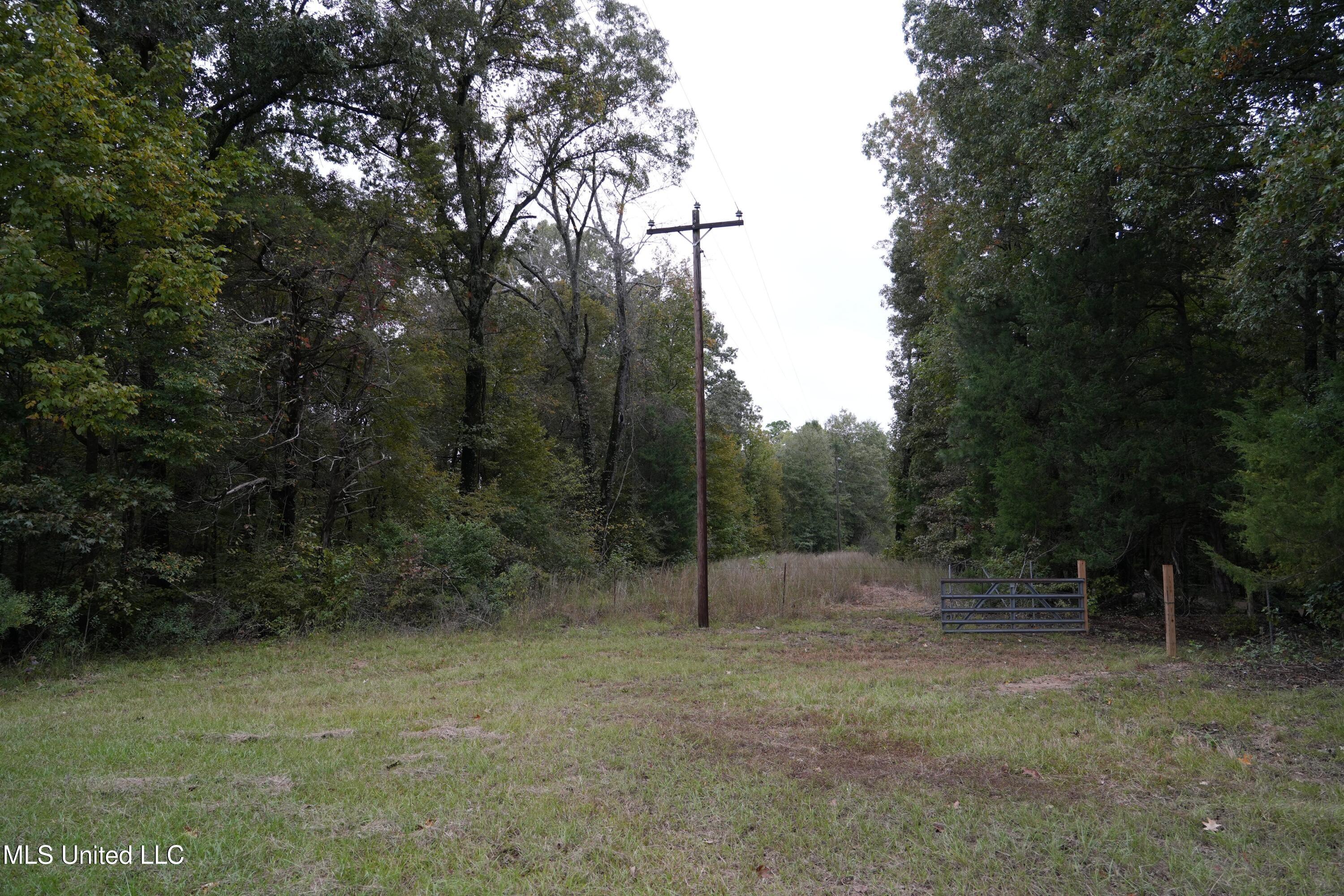 0 Phoenix Road Bentonia, MS 39040 - Photo 18 of 33 18.