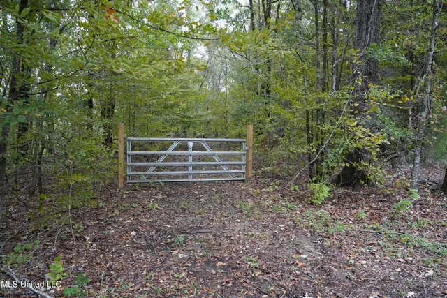 $195,000 | 0 Phoenix Road, Bentonia, MS 39040