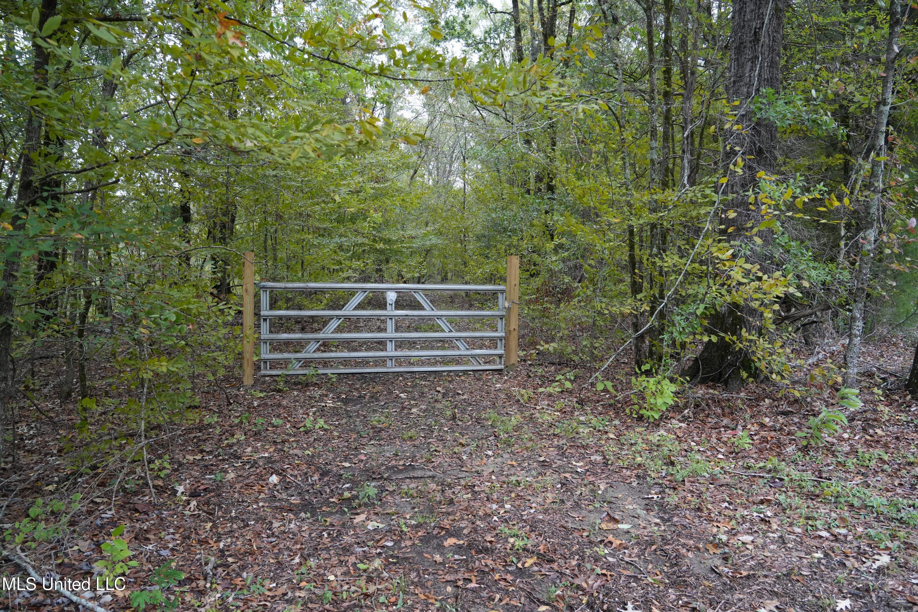 0 Phoenix Road Bentonia, MS 39040 - Photo 19 of 33 19.