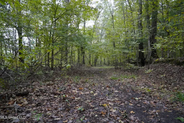 $195,000 | 0 Phoenix Road, Bentonia, MS 39040