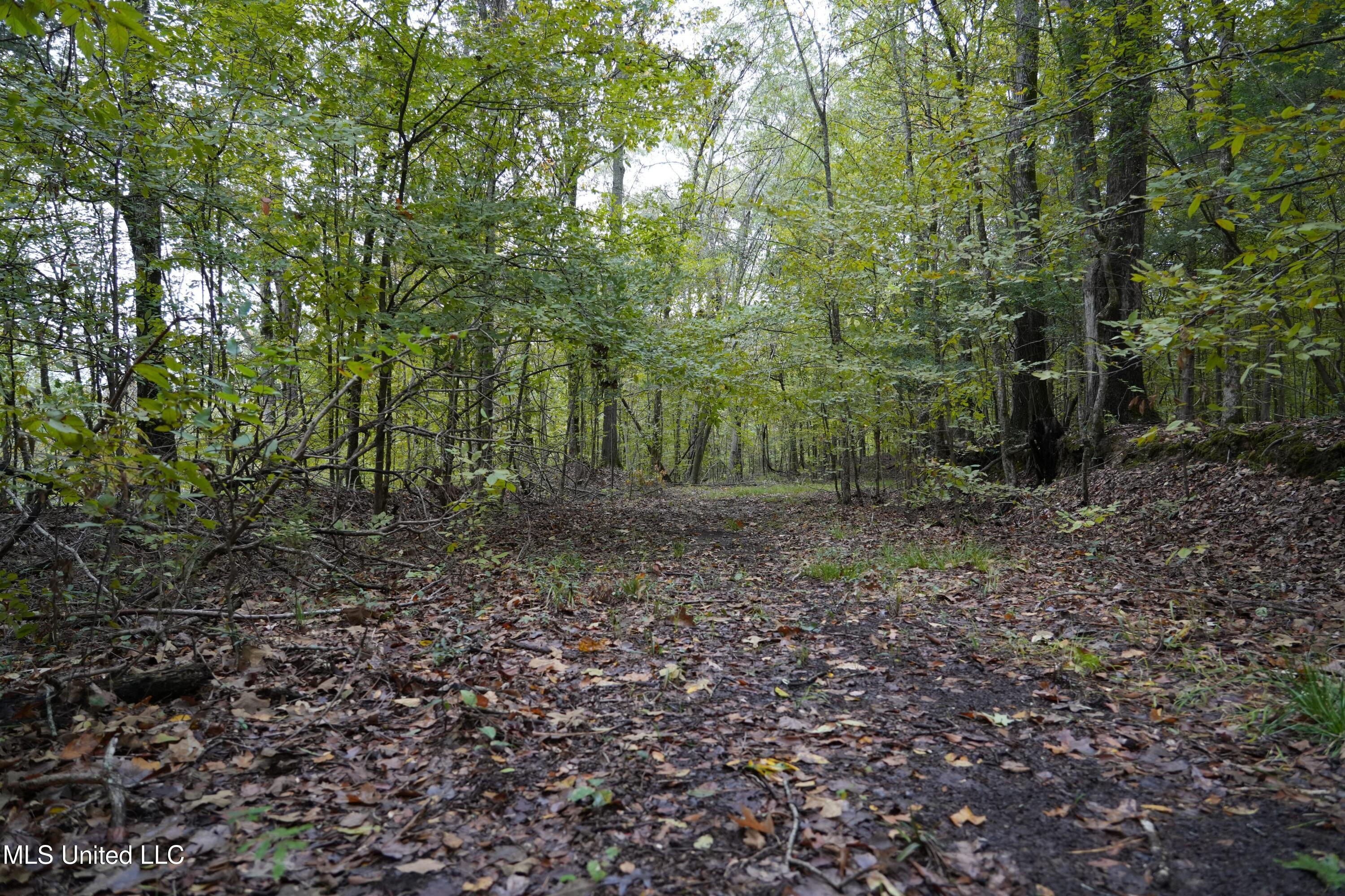 0 Phoenix Road Bentonia, MS 39040 - Photo 20 of 33 20.