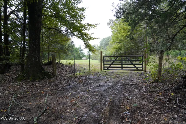 $195,000 | 0 Phoenix Road, Bentonia, MS 39040