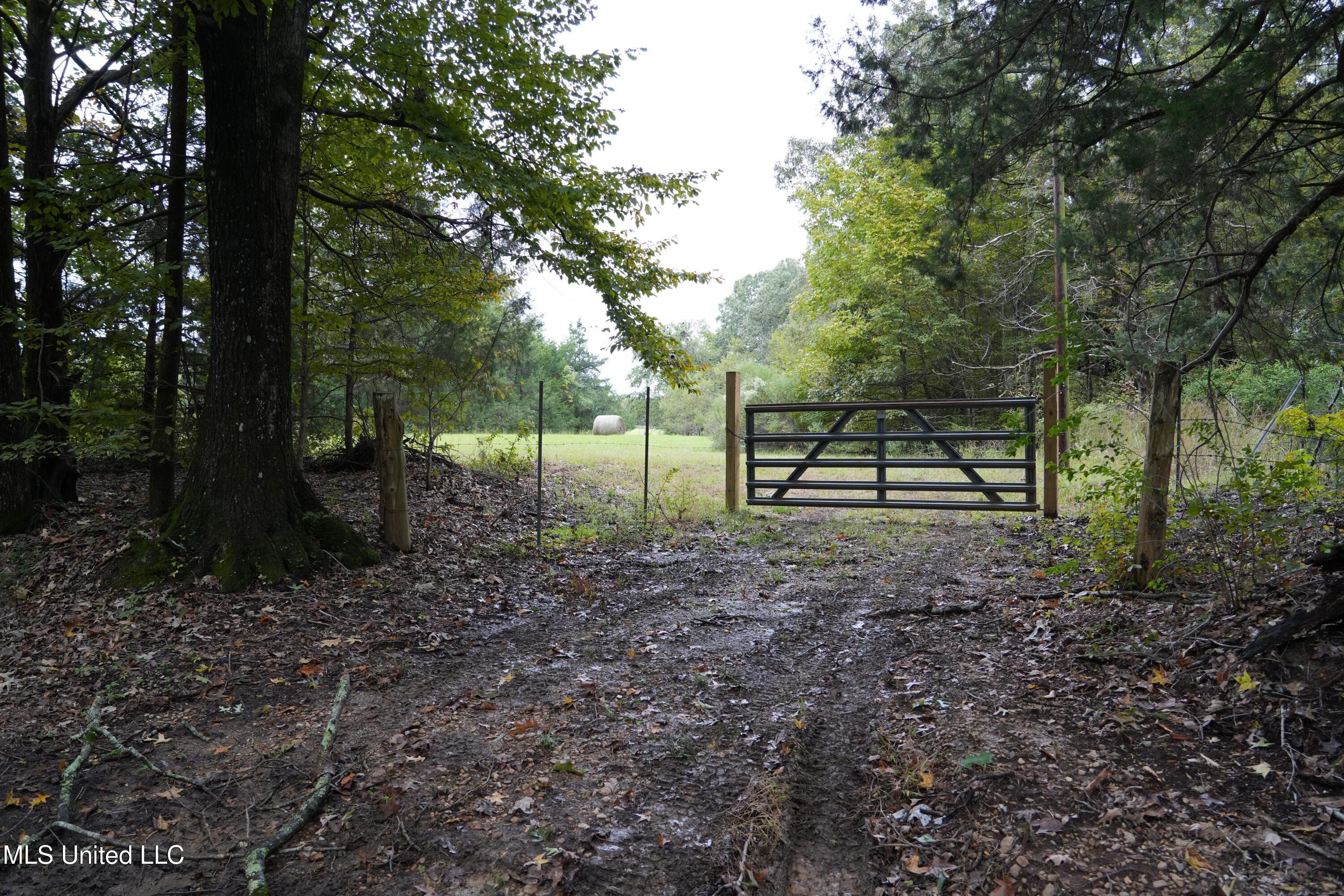 0 Phoenix Road Bentonia, MS 39040 - Photo 2 of 33 2.