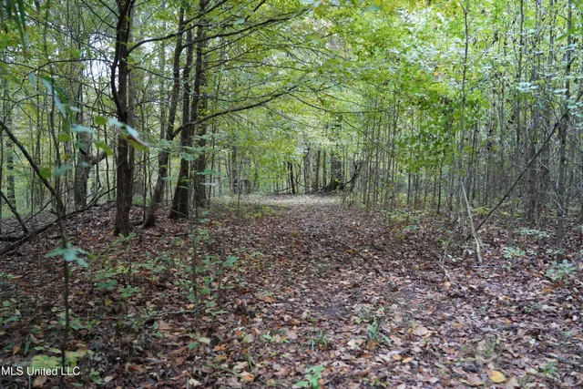 $195,000 | 0 Phoenix Road, Bentonia, MS 39040