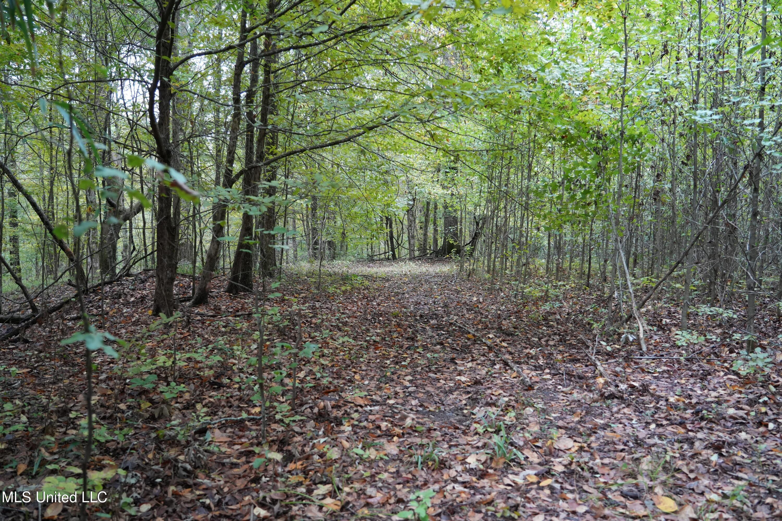 0 Phoenix Road Bentonia, MS 39040 - Photo 21 of 33 21.