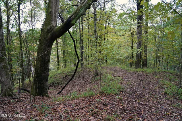 $195,000 | 0 Phoenix Road, Bentonia, MS 39040