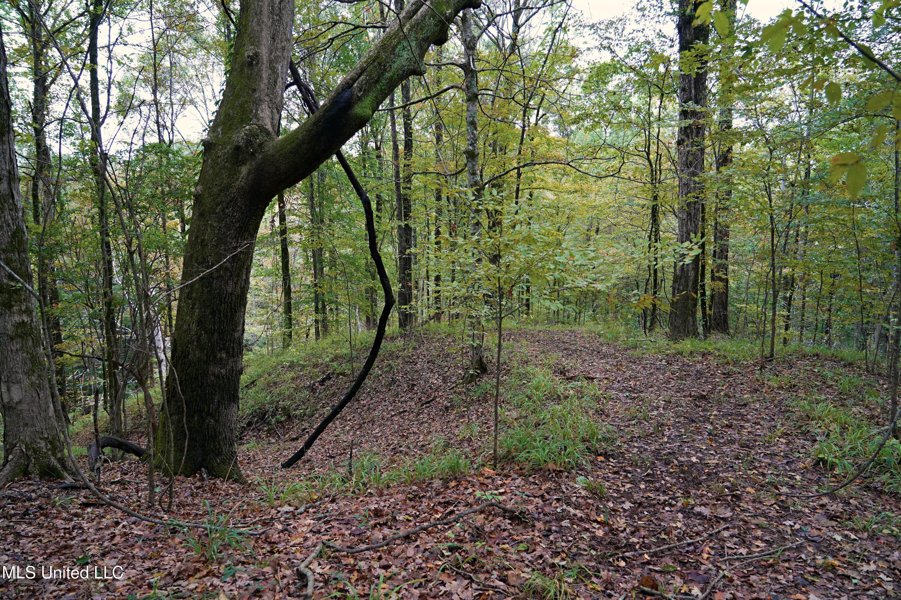 0 Phoenix Road Bentonia, MS 39040 - Photo 22 of 33 22.