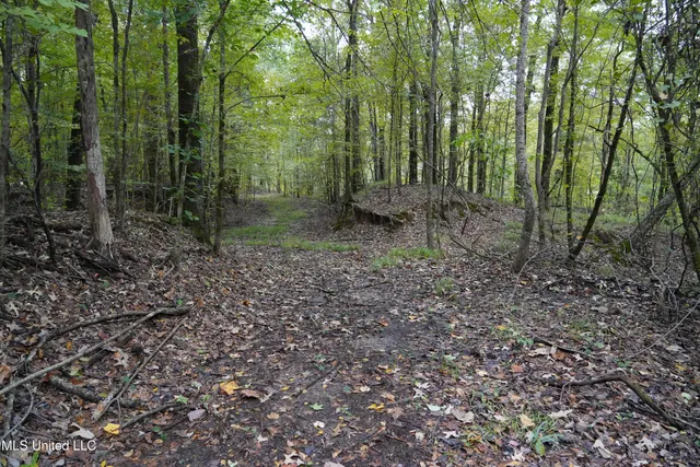 $195,000 | 0 Phoenix Road, Bentonia, MS 39040