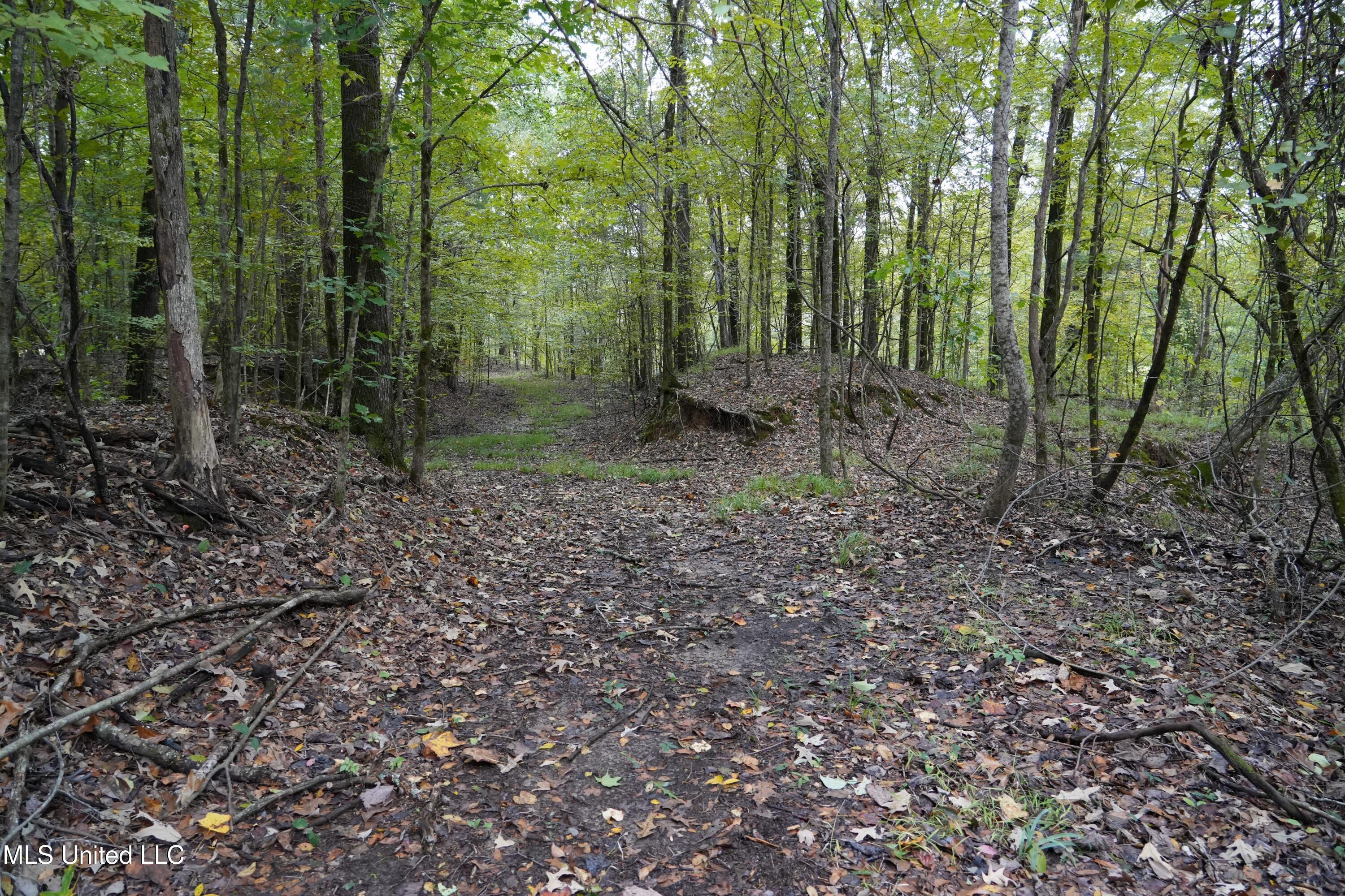 0 Phoenix Road Bentonia, MS 39040 - Photo 23 of 33 23.