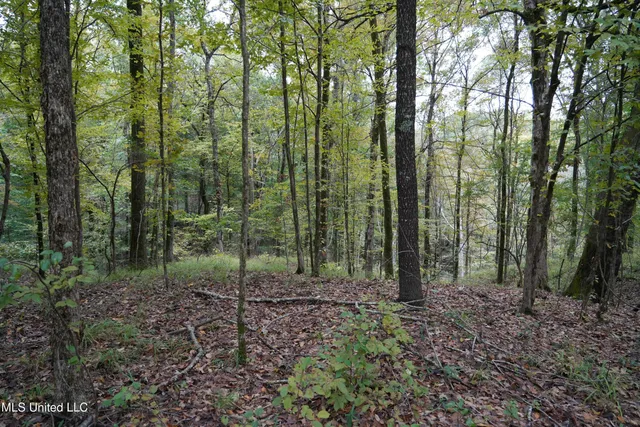 $195,000 | 0 Phoenix Road, Bentonia, MS 39040