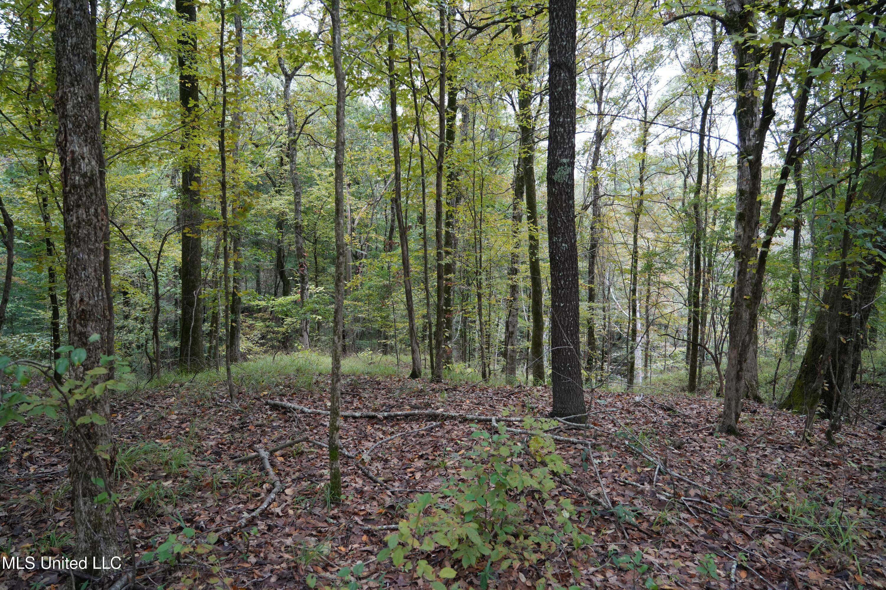 0 Phoenix Road Bentonia, MS 39040 - Photo 24 of 33 24.