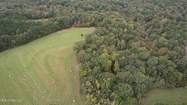 $195,000 | 0 Phoenix Road, Bentonia, MS 39040