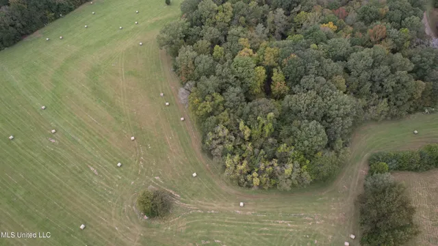 $195,000 | 0 Phoenix Road, Bentonia, MS 39040