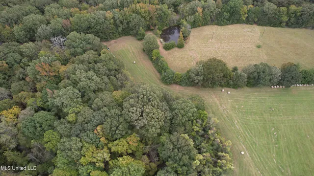 $195,000 | 0 Phoenix Road, Bentonia, MS 39040