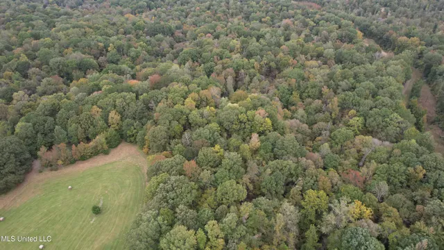 $195,000 | 0 Phoenix Road, Bentonia, MS 39040