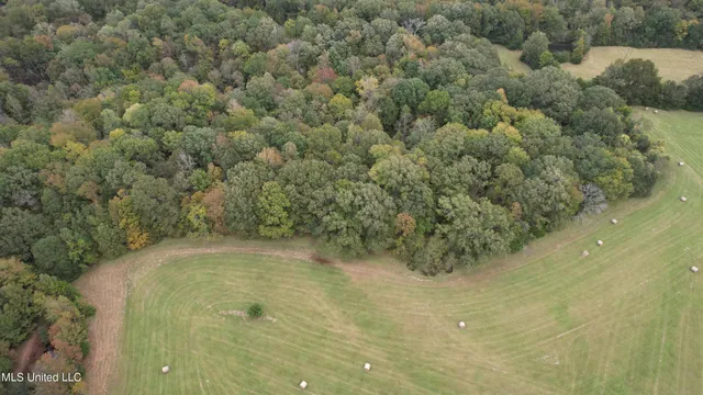 $195,000 | 0 Phoenix Road, Bentonia, MS 39040