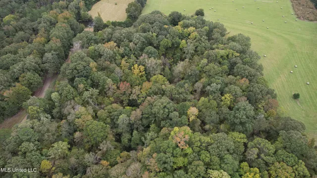 $195,000 | 0 Phoenix Road, Bentonia, MS 39040