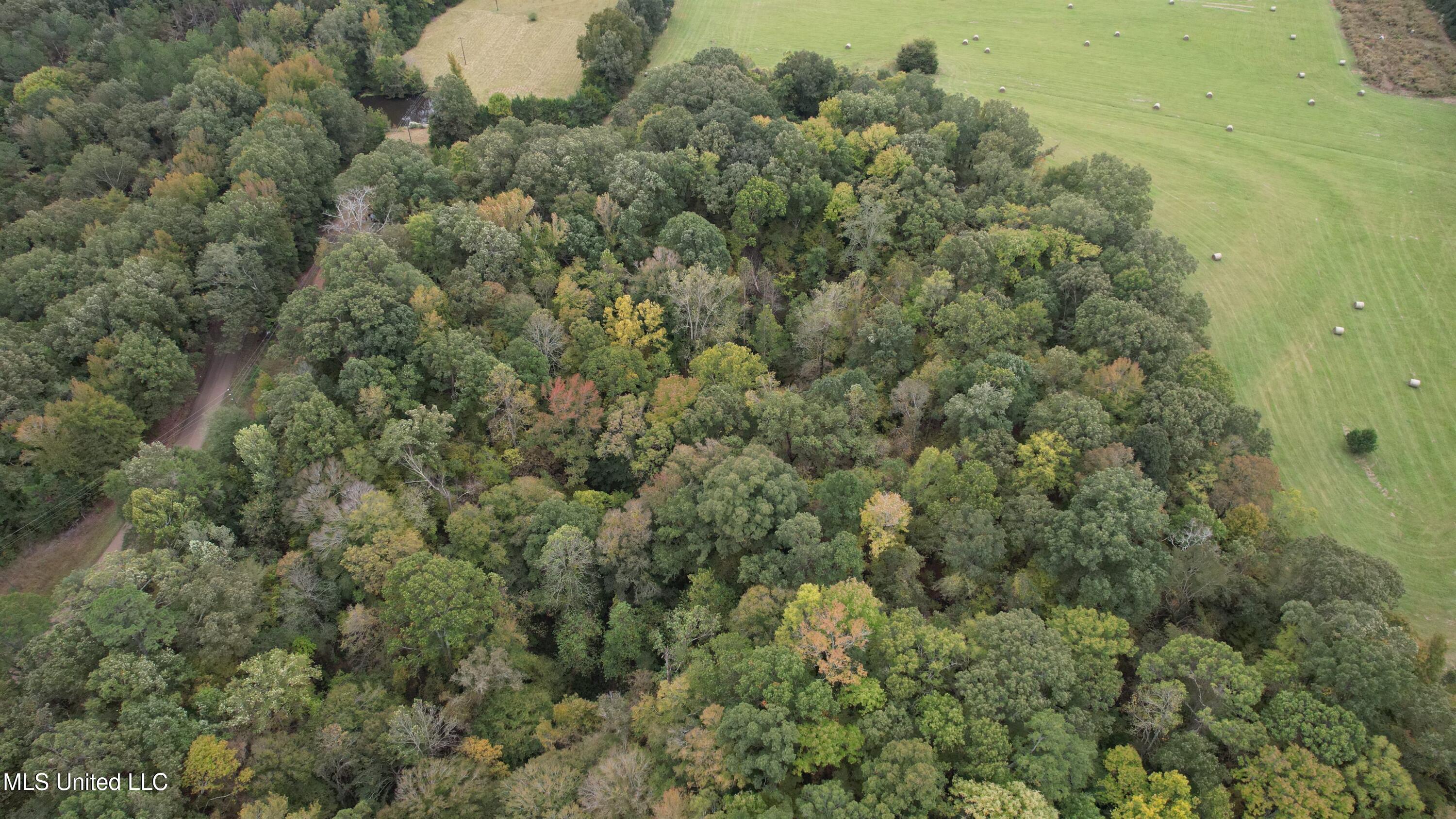 0 Phoenix Road Bentonia, MS 39040 - Photo 30 of 33 30.