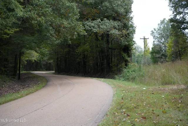 $195,000 | 0 Phoenix Road, Bentonia, MS 39040
