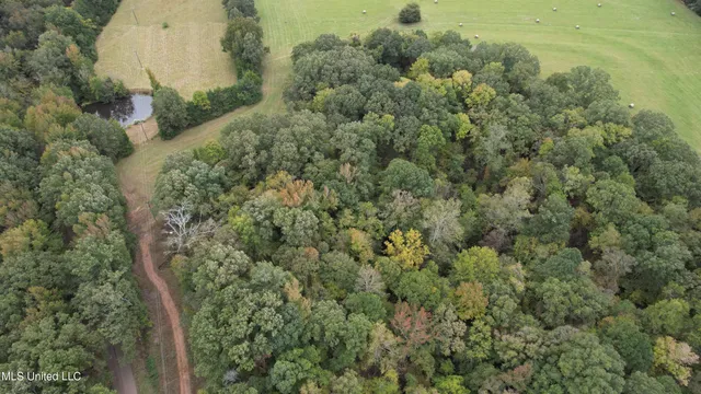 $195,000 | 0 Phoenix Road, Bentonia, MS 39040