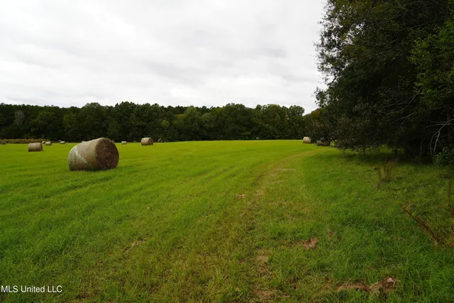 $195,000 | 0 Phoenix Road, Bentonia, MS 39040