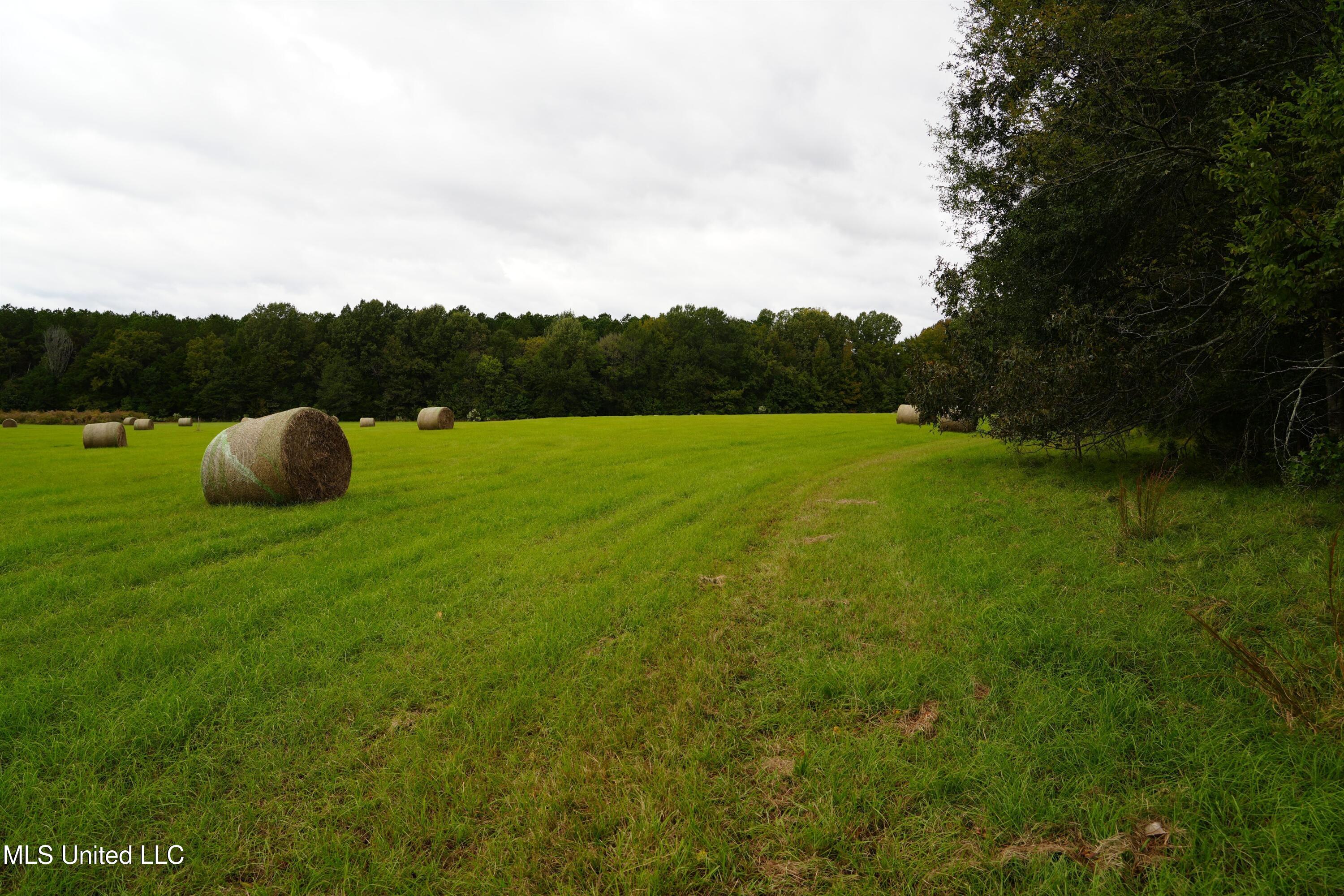 0 Phoenix Road Bentonia, MS 39040 - Photo 4 of 33 4.