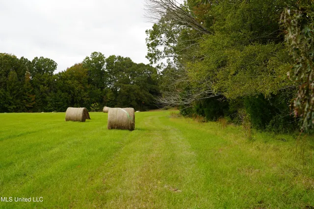 $195,000 | 0 Phoenix Road, Bentonia, MS 39040