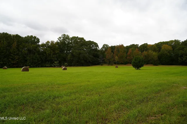 $195,000 | 0 Phoenix Road, Bentonia, MS 39040