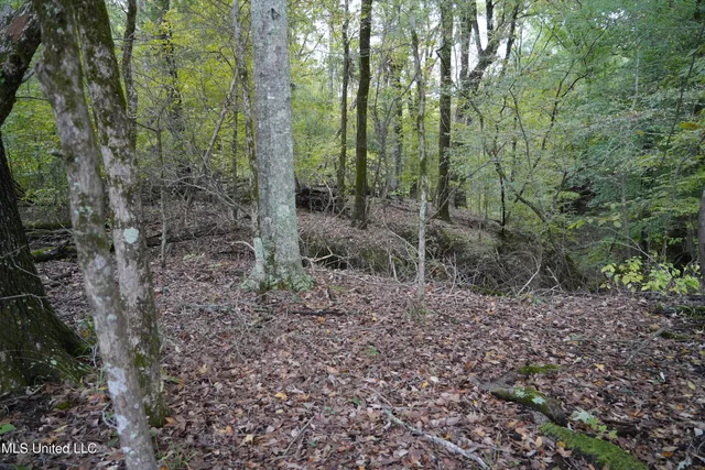$195,000 | 0 Phoenix Road, Bentonia, MS 39040