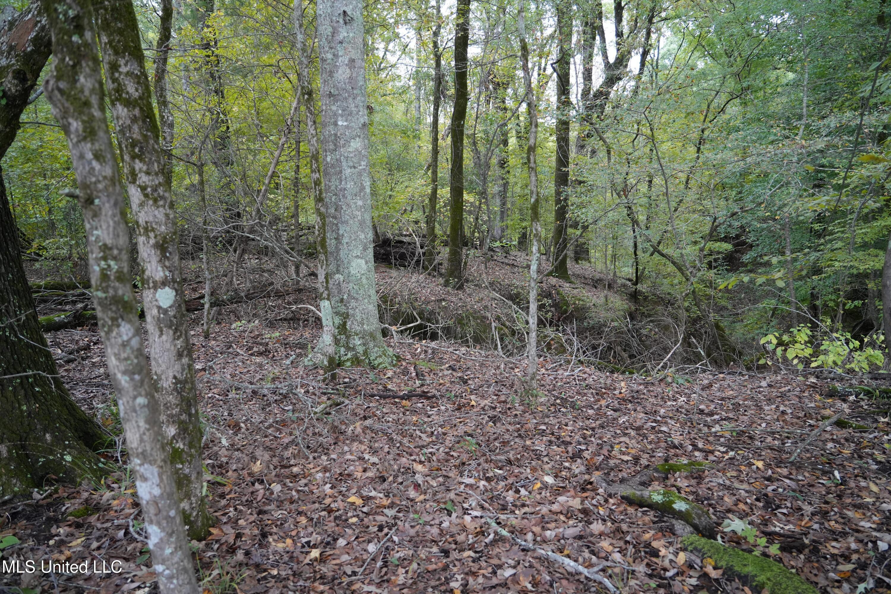 0 Phoenix Road Bentonia, MS 39040 - Photo 7 of 33 7.