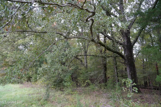 $195,000 | 0 Phoenix Road, Bentonia, MS 39040