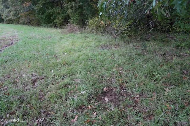 $195,000 | 0 Phoenix Road, Bentonia, MS 39040