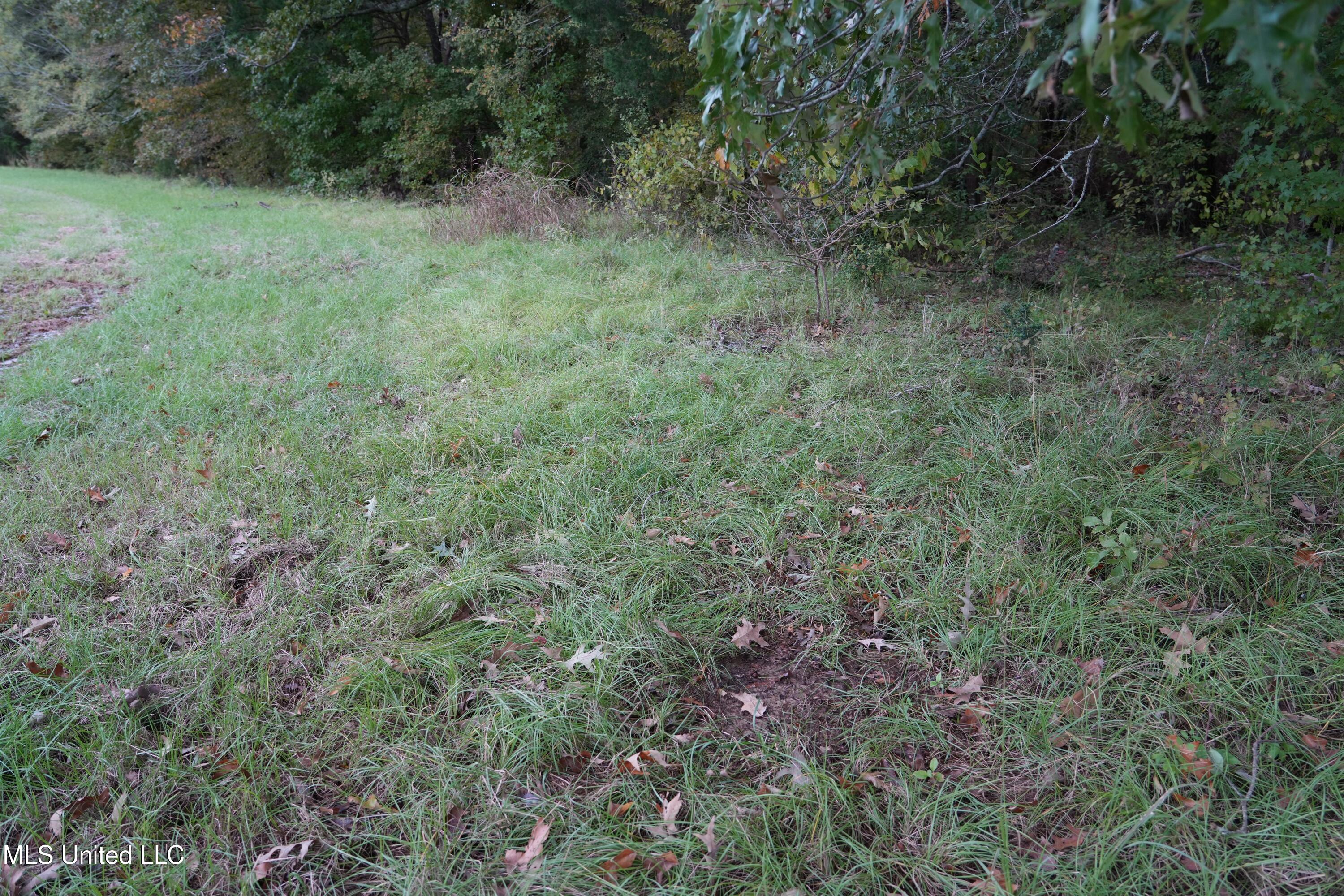 0 Phoenix Road Bentonia, MS 39040 - Photo 9 of 33 9.