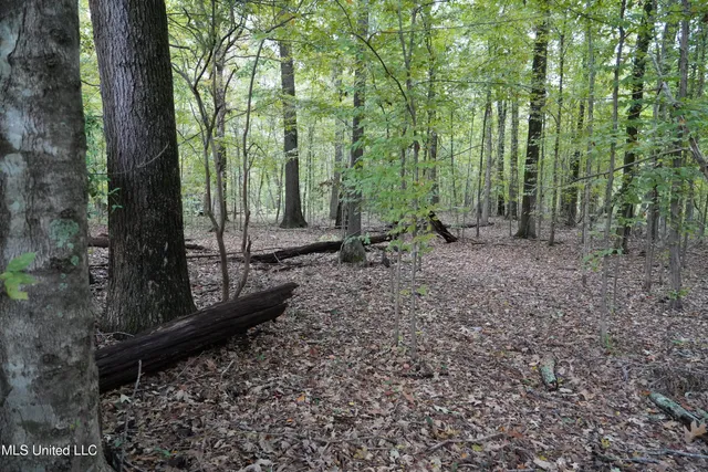 $195,000 | 0 Phoenix Road, Bentonia, MS 39040