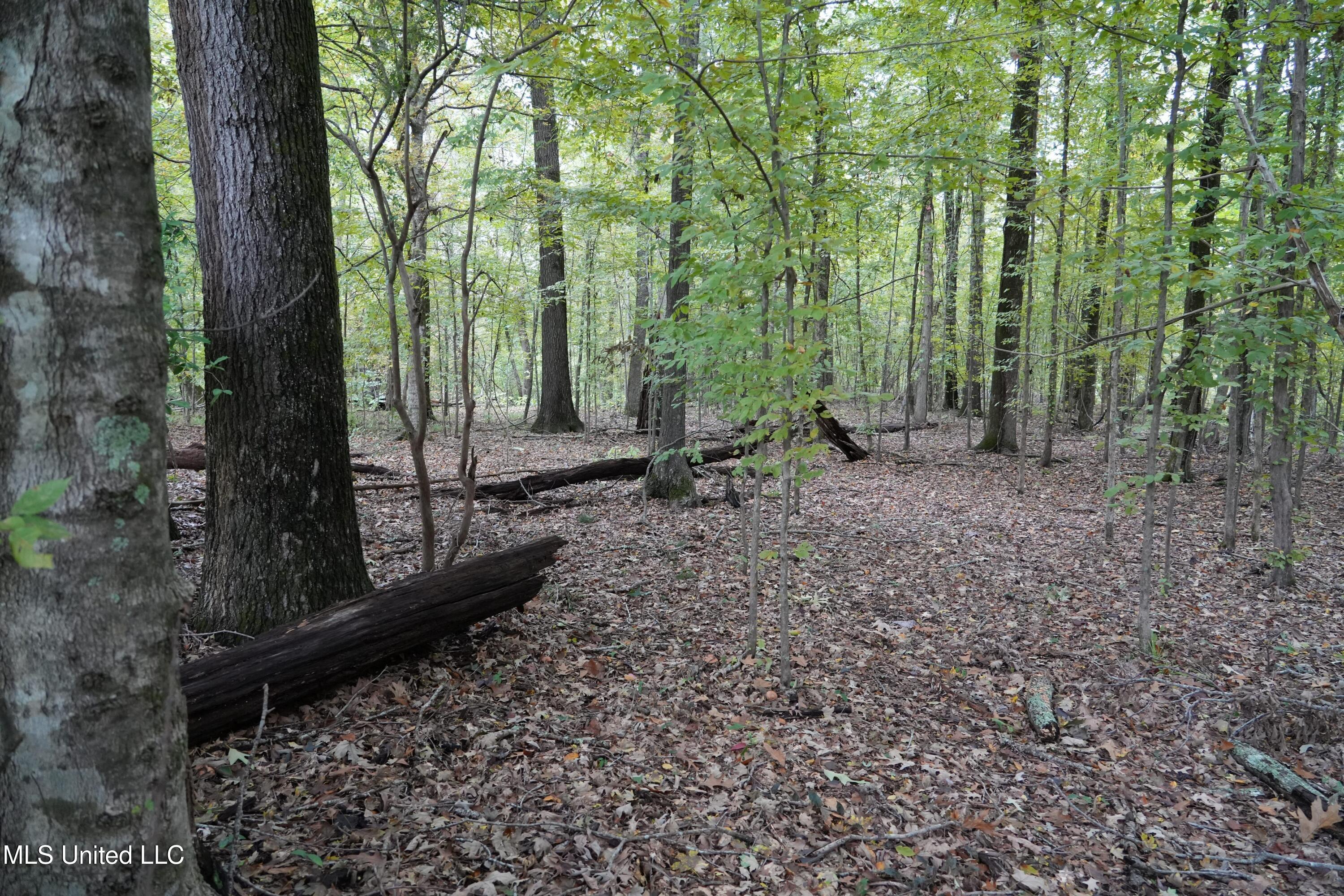 0 Phoenix Road Bentonia, MS 39040 - Photo 10 of 33 10.