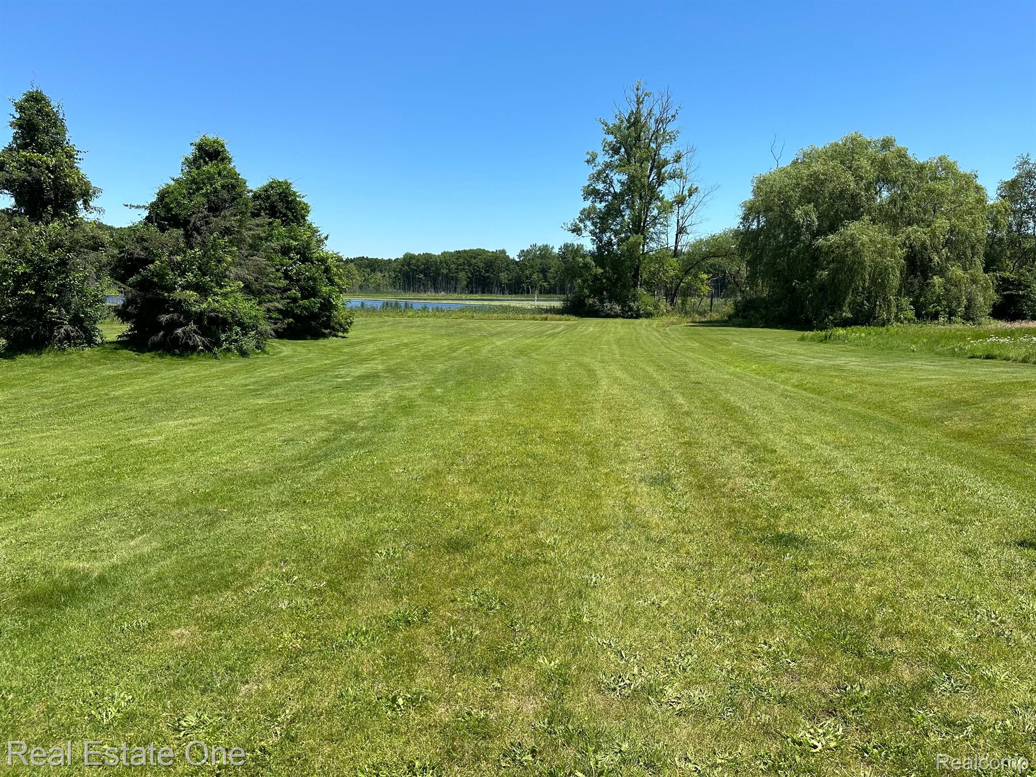 11780 Scott Road Davisburg, MI 48350 - Photo 5 of 6 open meadow