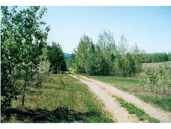 Lot A Pine Hill Road Newport, VT 05855 - Photo 4 of 4 Gallery Image 4