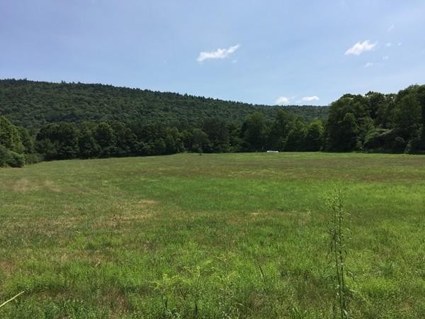 30 Keets Brook Road Bernardston, MA 01337 - Photo 28 of 30