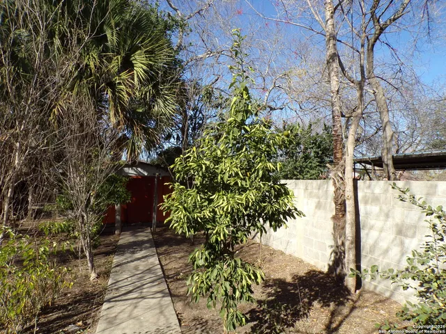 a plant that is in front of the house