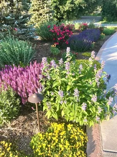 a view of a garden with a tree