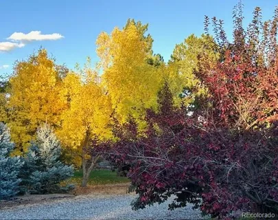 a view of outdoor space yard swimming pool and patio