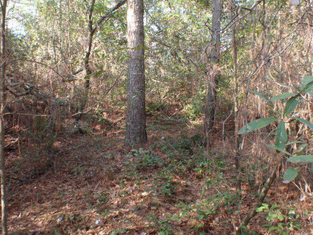 0 Dragstrip Road Aiken, SC 29803 - Photo 1 of 1 Main View