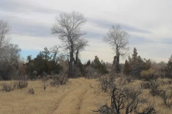 $1,400,000 | 10322 Hwy 26 South, Kinnear, WY 82516