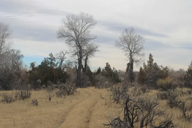 $1,400,000 | 10322 Hwy 26 South, Kinnear, WY 82516