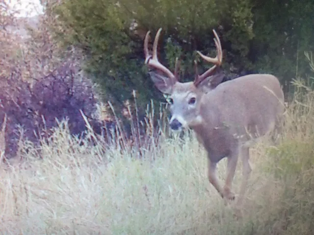 $1,400,000 | 10322 Hwy 26 South, Kinnear, WY 82516