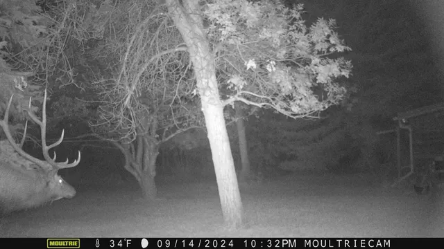 $1,400,000 | 10322 Hwy 26 South, Kinnear, WY 82516