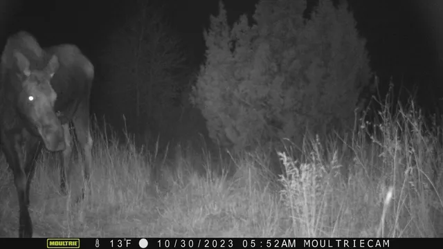 $1,400,000 | 10322 Hwy 26 South, Kinnear, WY 82516